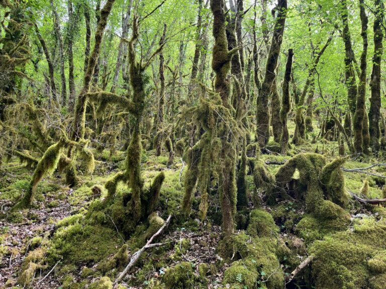 Vallée de Vers dans le Lot